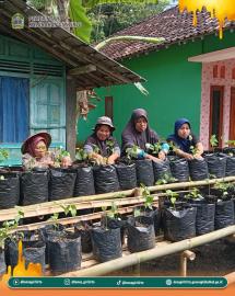 Gerbang Pagi Giritirto Sesuai Peraturan Bupati Gunungkidul, Dorong Ketahanan Pangan Warga